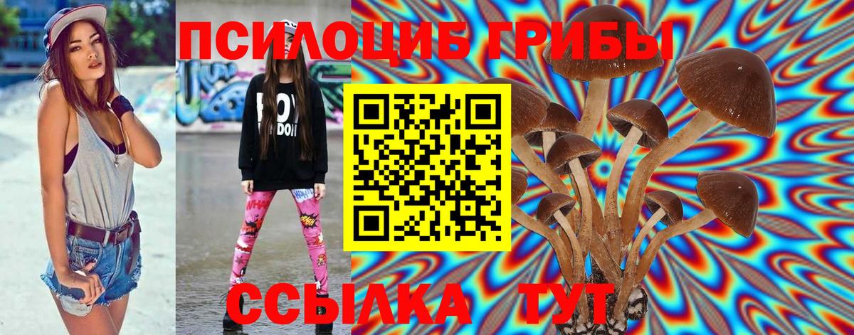 Галлюциногенные грибы Psilocybe Кулебаки